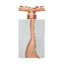 frnt_fleur1.webp