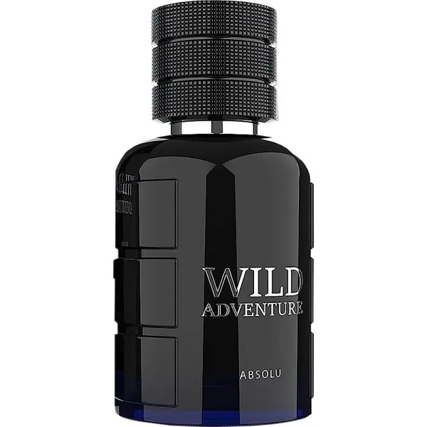 perfume_linn_young_wild_adventure_absolu_edt_-_masculino_100ml1.webp