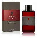 ANTONIO BANDERAS THE SECRET TEMPTATION EDT 100 ML
