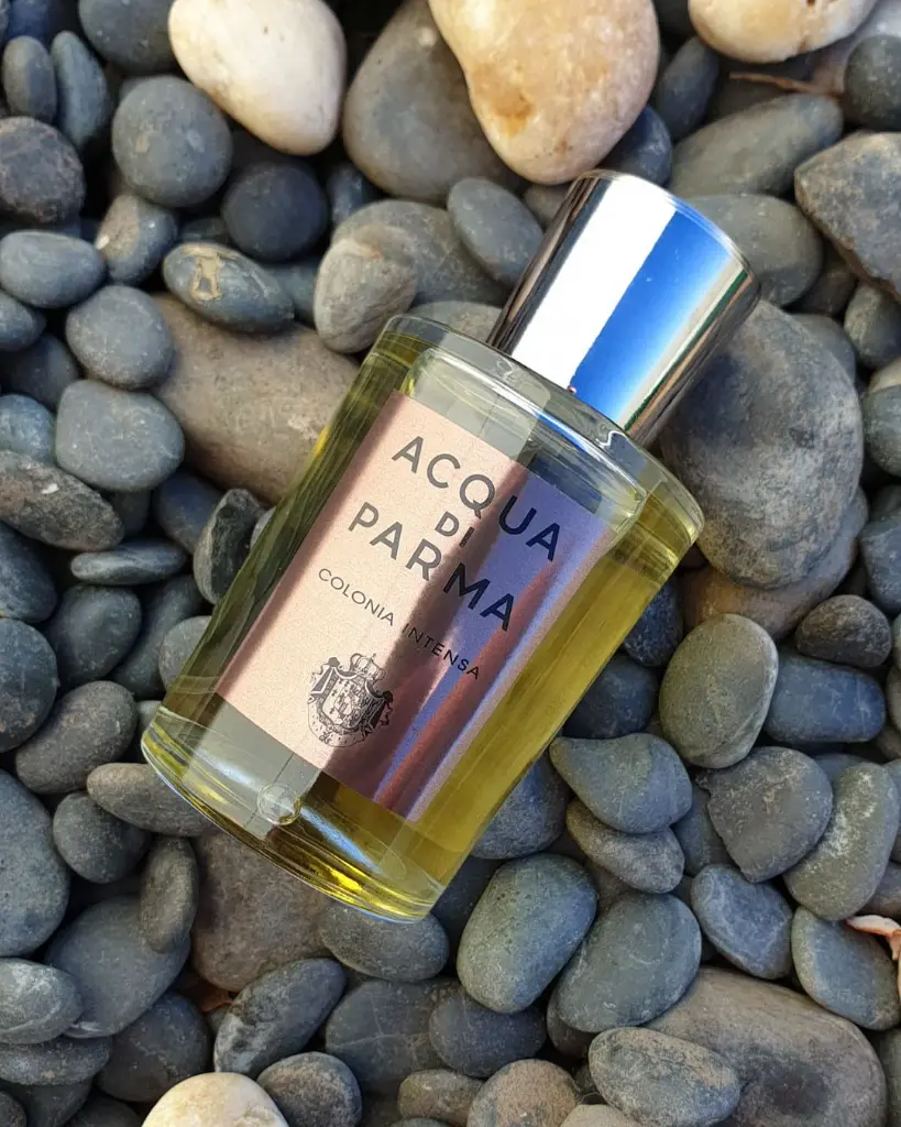 ACQUA DI PARMA INTENSA EDC 100 ML